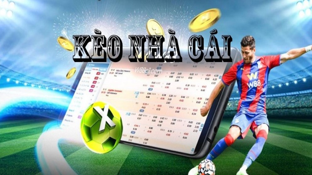 Tỷ lệ cược bóng đá 